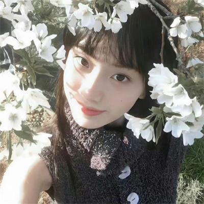 角落里的阳光