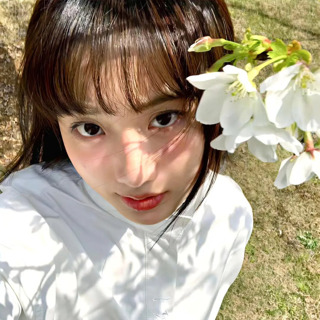 王室的婚礼